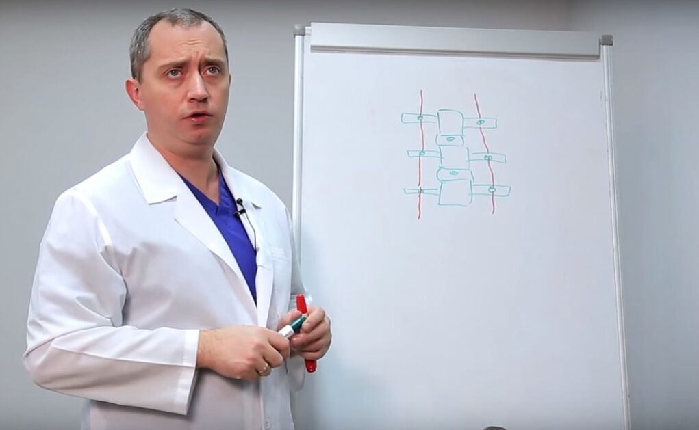 O médico mostra a estrutura da columna vertebral